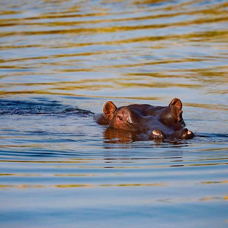 Zambezi Dusk Villa Livingstone Buitenkant foto