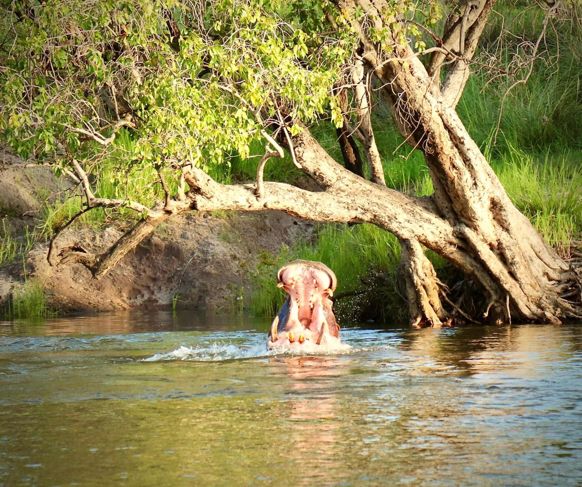 Zambezi Dusk Villa Livingstone Buitenkant foto