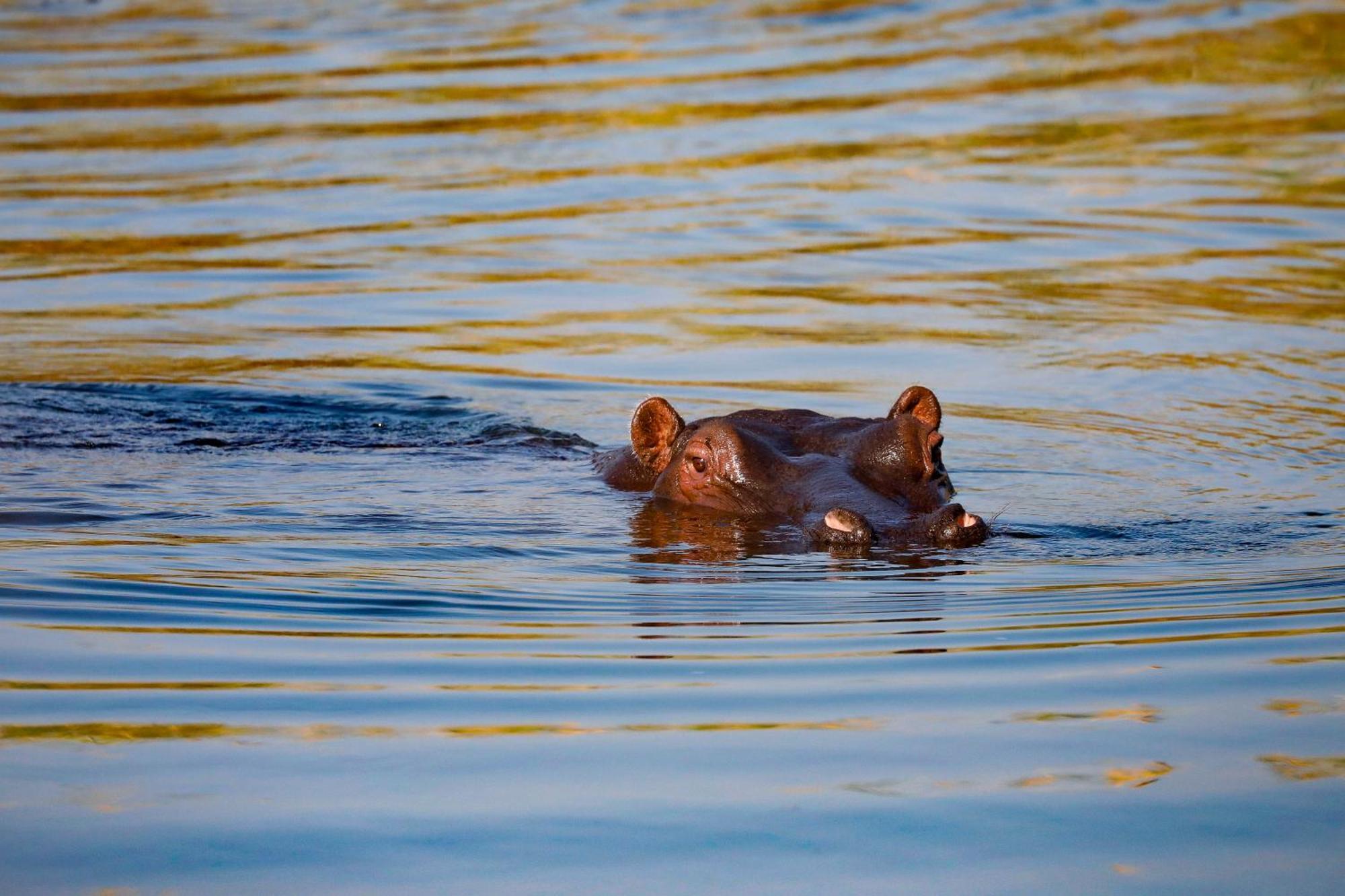 Zambezi Dusk Villa Livingstone Buitenkant foto