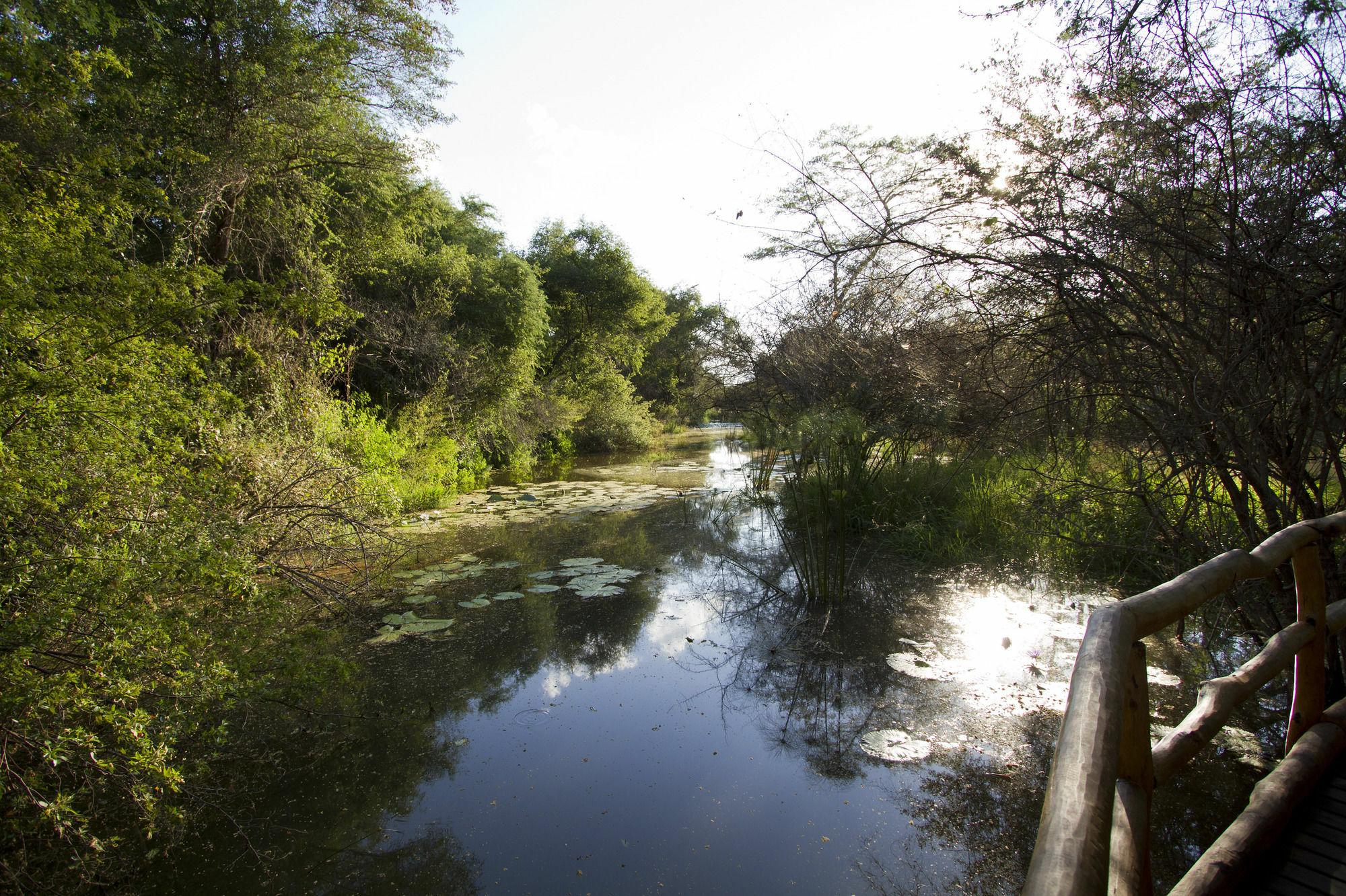 Zambezi Dusk Villa Livingstone Buitenkant foto